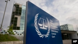 Подання до МКС підготували Міжнародна федерація за права людини (FIDH), Центр громадянських свобод та Харківська правозахисна група