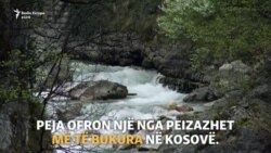 Çfarë u ofron Peja të rinjve të saj?