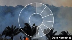 Rekordszámú környezetvédelmi aktivistát gyilkoltak meg