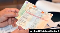 Иллюстрациялык сүрөт.