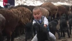 Мандалак менен малдын эбин тапкандар