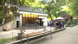 პატარა სოციალური კაფეს დიდი გეგმები