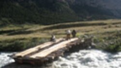 Репонд: Көпүрө малчынын ажатын ачат