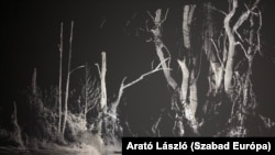 Művészet villanófényben