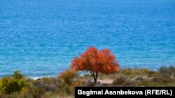 Иссык-Куль, село Бостери.