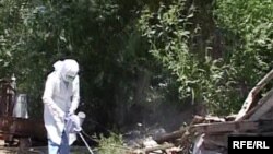 Оңтүстік Қазақстан облысы Түркістан өңірінде кенеден тазалау шарасы. Шілде, 2009 жыл.