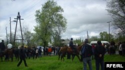 Петровкадагы тополоң. 26-апрель, 2009-жыл.