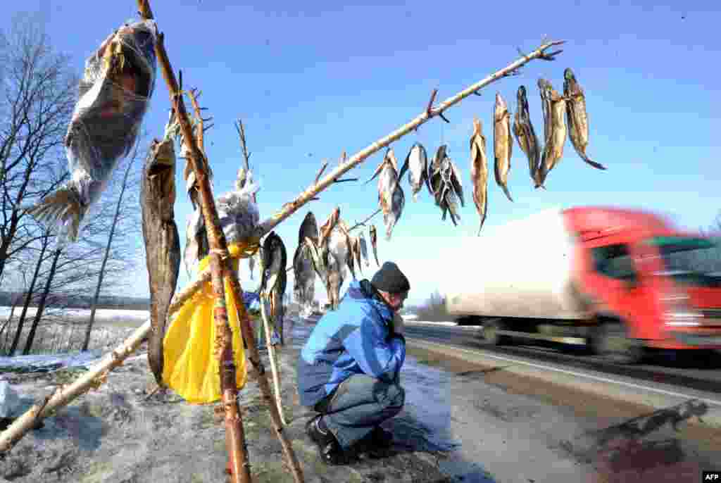 Чоловік продає в&rsquo;ялену рибу на шосе недалеко від білоруського села Лапичі (за 95 км на південь від Мінська), 28 лютого 2013 року (AFP / Віктор Драчов)