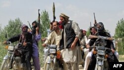 Местные ополченцы в провинции Логар активно помогают властям в вытесненнии талибов из своей провинции. 