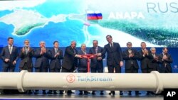 Церемонія відкриття газопроводу «Турецький потік» у Стамбулі, Туреччина, 8 січня 2020 року
