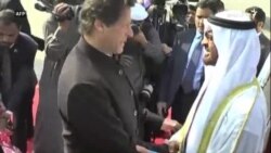پاکستانیو چارواکو د ابوظبۍ ولي عهد تود هرکلی کړی