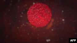 Zvaničnici SZO ipak su upozorili da je prerano za čvrste zaključke o omikron soju korona virusa