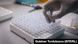 Одна из лабораторий в Кыргызстане. Иллюстративное фото. 