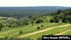 Vedere din împrejurimile satului Căprina, Iunie 2021