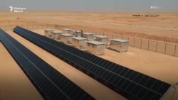 "Абсолютно самостоятелно". Български фирми започнаха прехода към зелена енергия