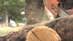 На Хортиці будують козацький човен-дуб за старовинними кресленнями (відео)