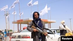 Газни шаарындагы талиб жоочусу. 14-август, 2021-жыл. 