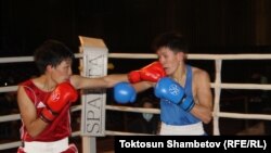 Азия чемпиону, тажрыйбалуу мушкер Азат Үсөналиев (кызыл формачан) менен Ысык-Көл облусунан келген Нуржигит Дүйшөбаев Кыргызстандын чемпионатында. 2020-жыл. Ноябрь айы.
