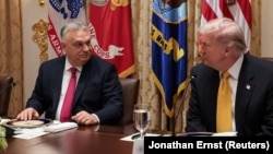 Orbán Viktor miniszterelnök és Donald Trump amerikai elnök a washingtoni Fehér Házban 2025. november 7-én