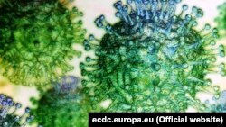 Ilustrim i koronavirusit të ri