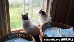 архивное фото