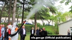 სამუშაოები მავნებელი მწერების წინააღმდეგ