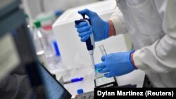 Në Britani të Madhe janë duke u zhvilluar shumë studime lidhur me variantin, Omicron të koronavirusit. 