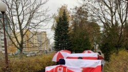 Гродно шаарындагы демонстранттар көтөргөн туулар. Беларус. 2020-жылдын 8-ноябры. Архив.