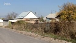 Сексуалдык ыдыкка шектелген жаран сегиз жылга кесилди 