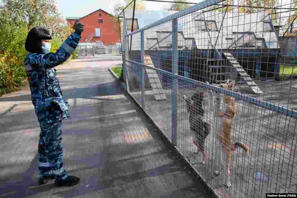 Zajlik a kiképzés a moszkvai Seremetyevó Nemzetközi Repülőtéren.