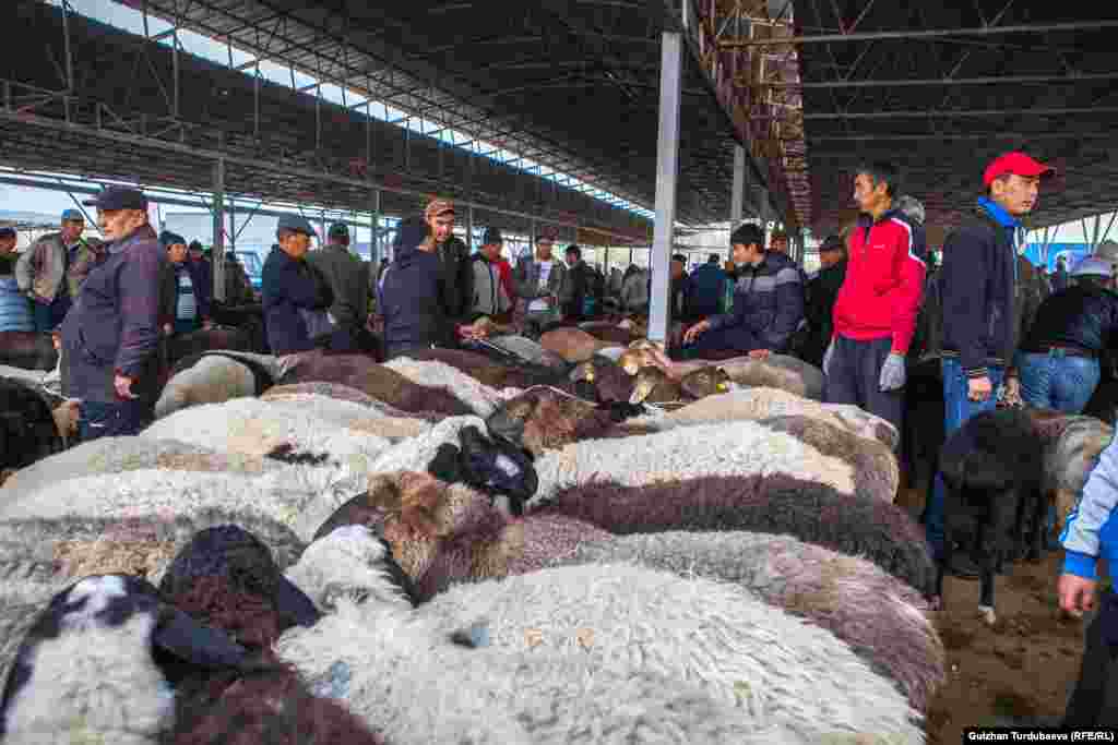 В сезон торжеств спрос на скотину особенно высок.
