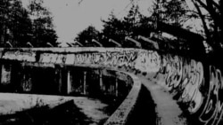 Hvala drago Sarajevo (3)