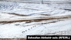 Иллюстрациялык сүрөт.