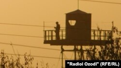 Illýustrasiýa suraty