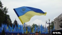 Верховна Рада 11 травня під контролем Партії регіонів, у прямому й переносному розумінні