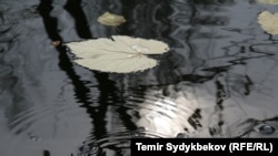 Иллюстрациялык сүрөт. 