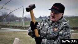Alexandr Luakșenko plantând copaci - 17 aprilie 2021