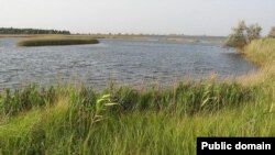 Як кажуть у Миколаївській ОВА, на відновлення Кінбурнської коси після деокупації від російських військ можуть піти десятиліття