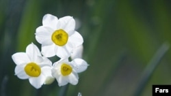 (архівне фото)