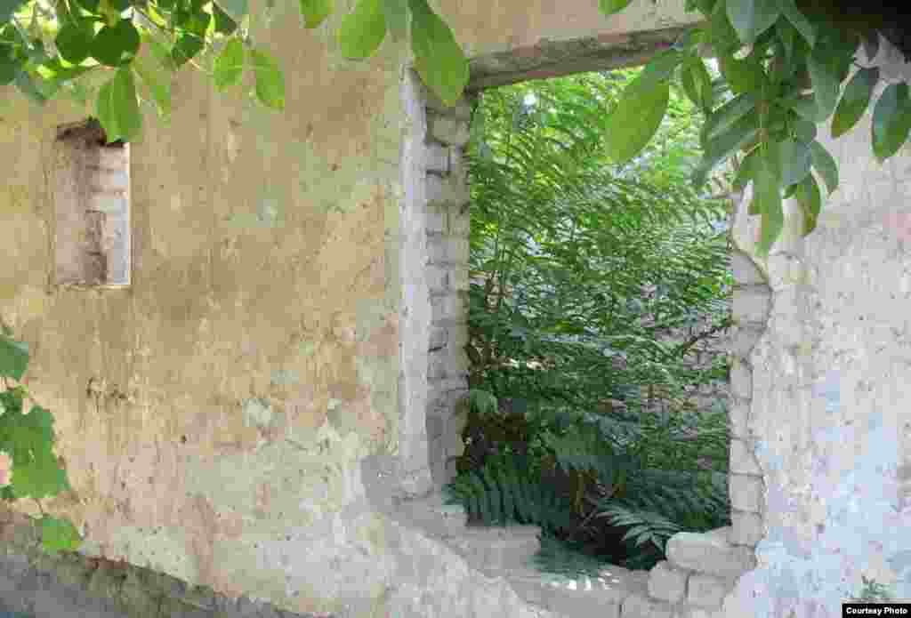 Хозяева не пожелали вернуться из Кыргызстана, который дал им убежище