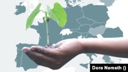 Mit tehetünk a klímaváltozás ellen?