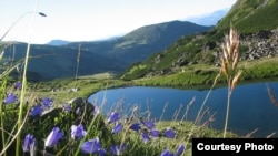 Двом колишнім посадовцям одного із державних лісогосподарських підприємств Закарпатської області інкримінують вчинення кримінального правопорушення, передбаченого статтею «службова недбалість»