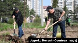 Көчөт тигүү. Бишкектеги ишембиликтердин бири. 