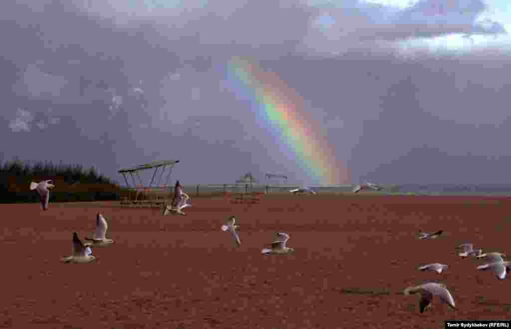 Күн желеси жээкке төгүлдү.&nbsp;