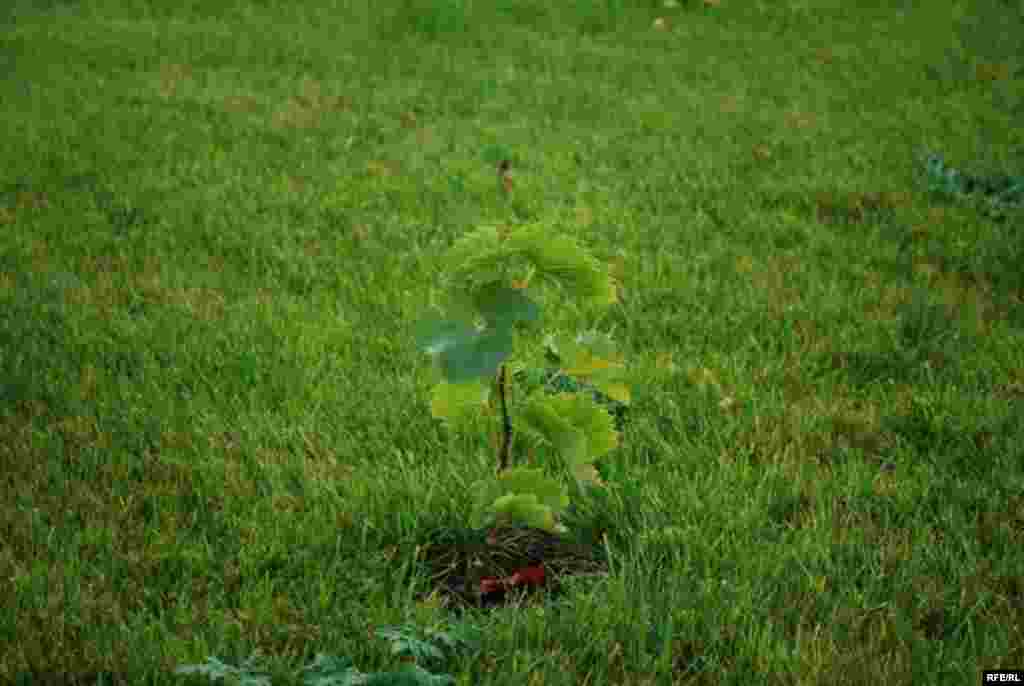 Oenologie de Orhei #19