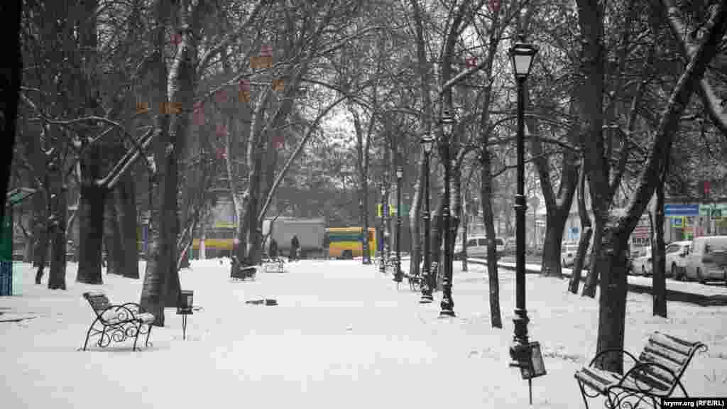 Белоснежный парк