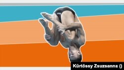 Japánok az olimpia ellen