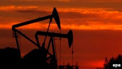 پیش بینی می‌شود متوسط تولید روزانه نفت آمریکا در سال آینده به ۹ میلیون و ۹۱۰ هزار بشکه برسد که بالا‌ترین میزان تولید نفت در تاریخ آمریکا است.