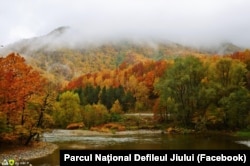 Parcul Național Defileul Jiului se întinde în zona dintre munții Vâlcan (grupa Retezat-Godeanu) și munții Parâng.