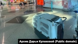 Первое фото Дарьи Кулаковой по прилету в Португалию